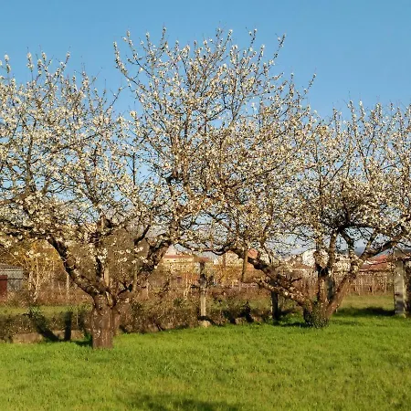 Casa Veiguina Sacra * Monforte De Lemos