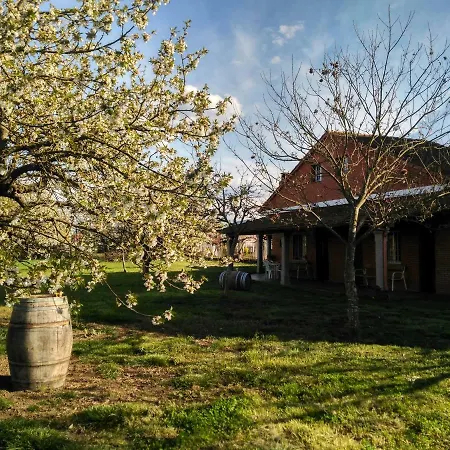 Casa Veiguina Sacra Casa de Férias Monforte De Lemos